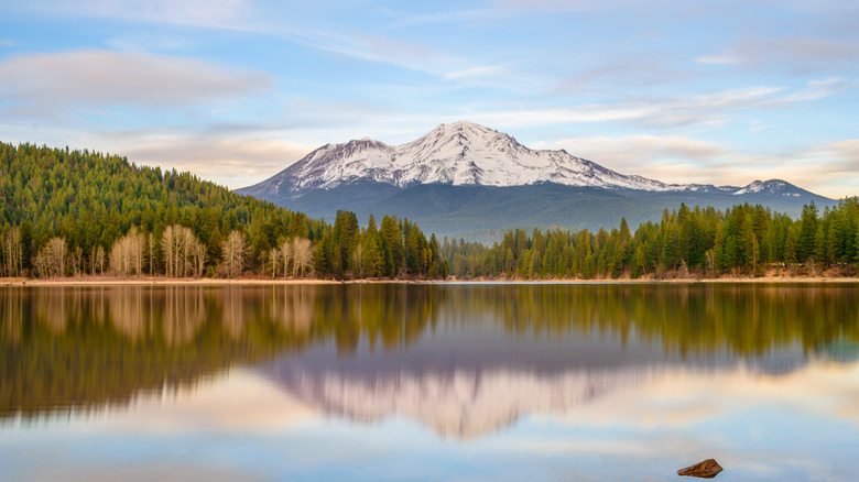 Snow-covered mountain with a lake and forest in the foreground