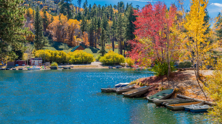 Boats and kayaks at Green Valley Lake, California