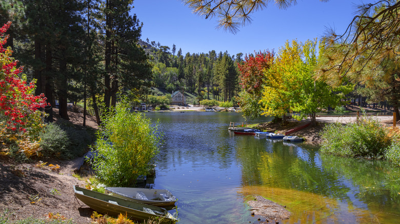 Green Valley Lake, California, surrounded by trees during fall