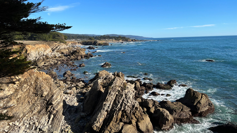 View of the Pacific Ocean from Gualala Point Regional Park