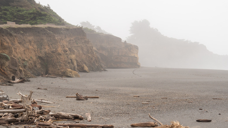 Foggy cliffs at Gualala Point Regional Park