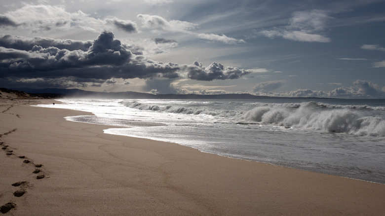 marina dunes beach Monterey, California