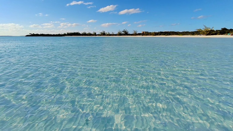 An up close look at the shallow waters at Taylor Bay Beach