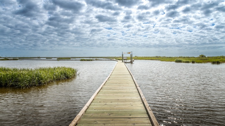 Boardwalk through the marshes on Texas' Gulf Coast