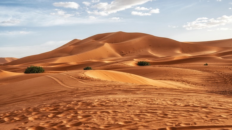 Aerial view of Erg Chebbi, Sahara Desert Morocco