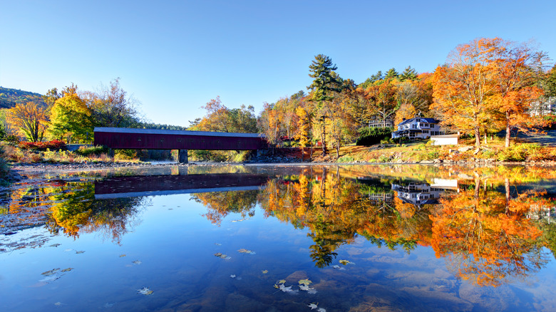 Bridge in Litchfield Hills, CT