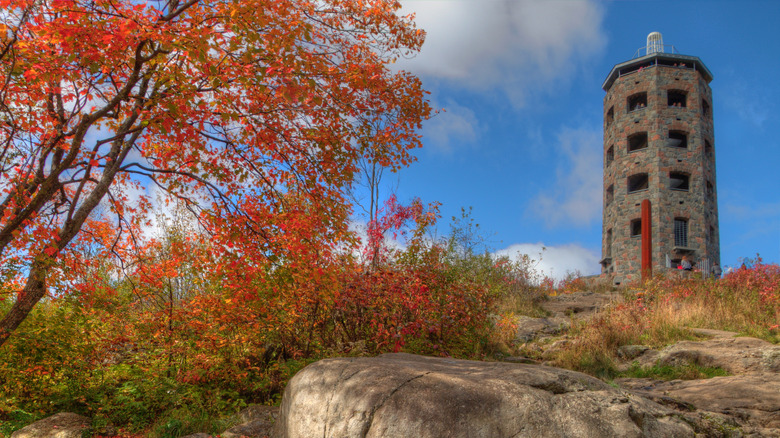 Fall foliage at Enger Tower in Duluth