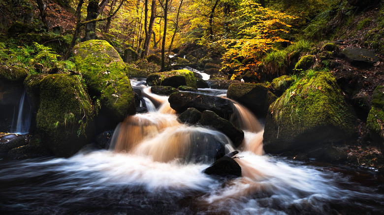 Padley Gorge waterfall during fall