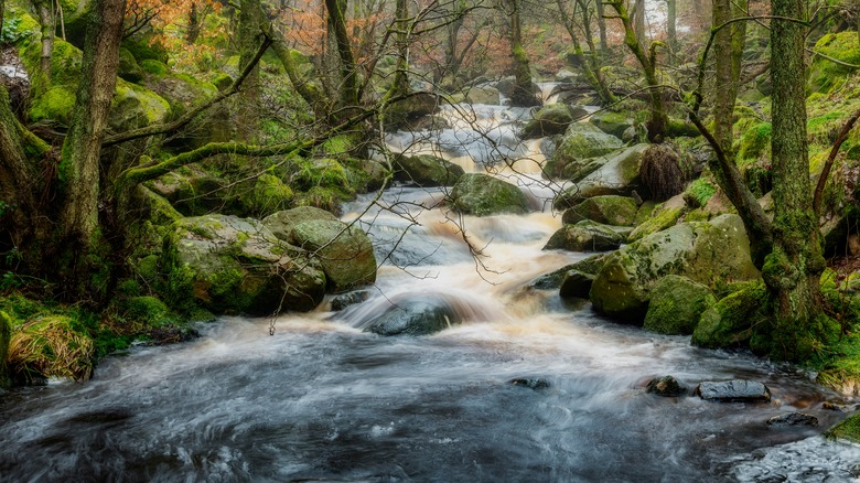 Padley Gorge waterfall