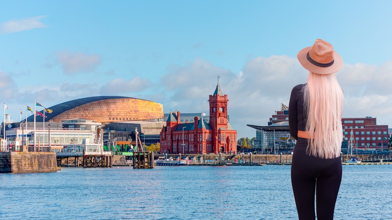 A woman studies Cardiff harbor