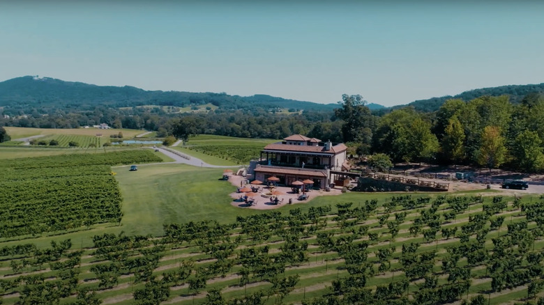 Aerial shot of the villa at Raffaldini Vineyards