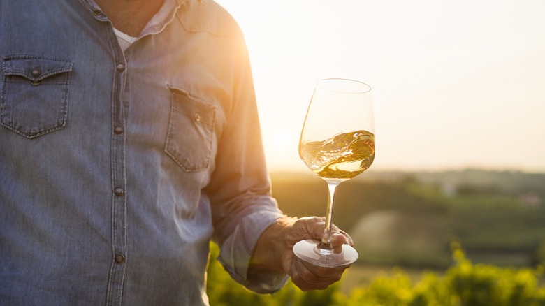 Man holding glass of white wine in vineyard