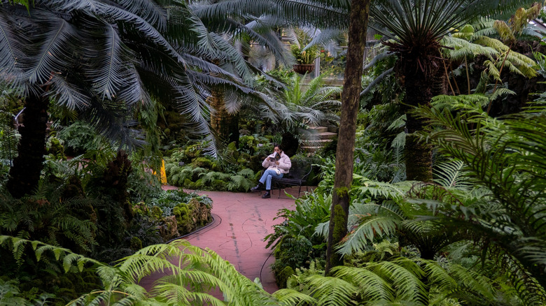 A person reading a book at the Lincoln Park Conservatory in Chicago