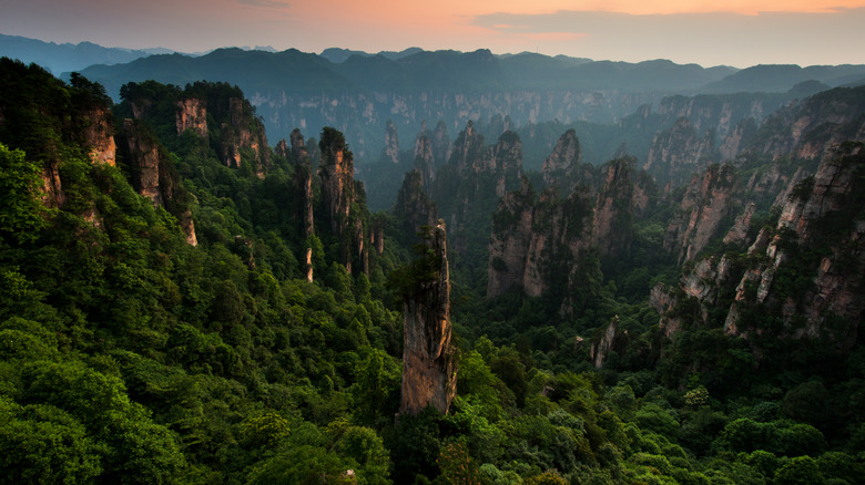 The stunning peaks in Zhangjiajie National Park in Hunan, China