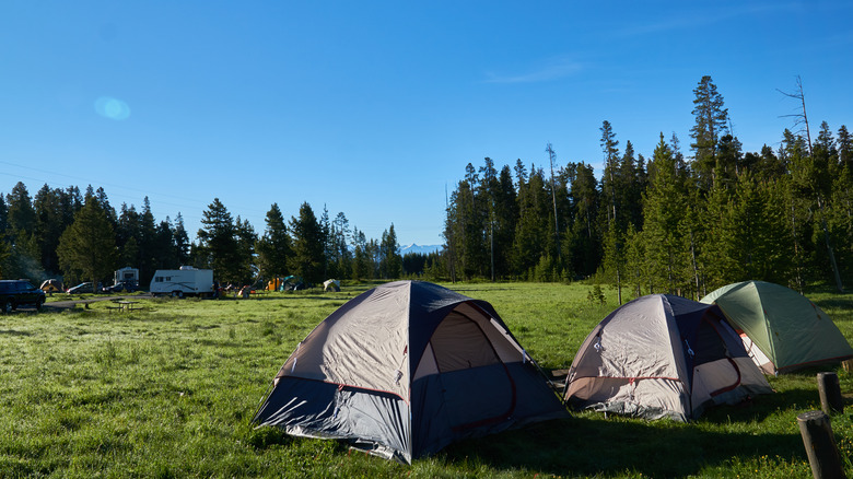 bridgebay campground yellowstone tents
