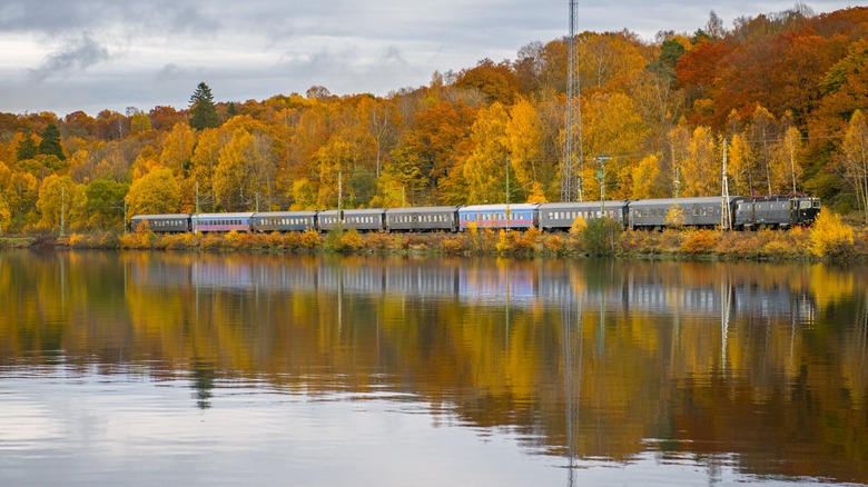 train lakeside through autumn trees