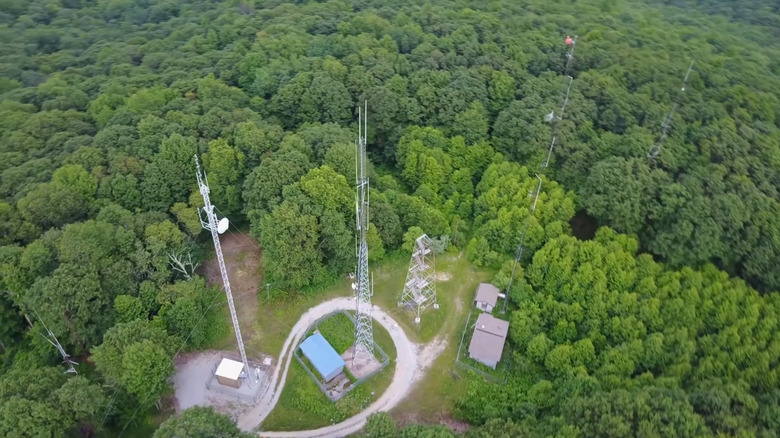 Utility towers forest Black Mountain