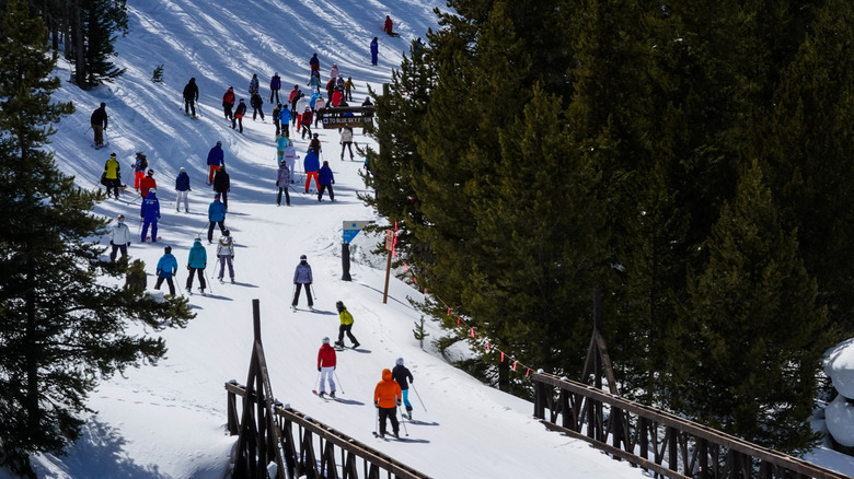 Tourists skiing in Vail