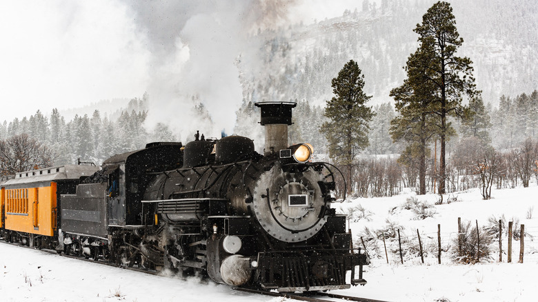 Black and orange train riding through snowy area with trees