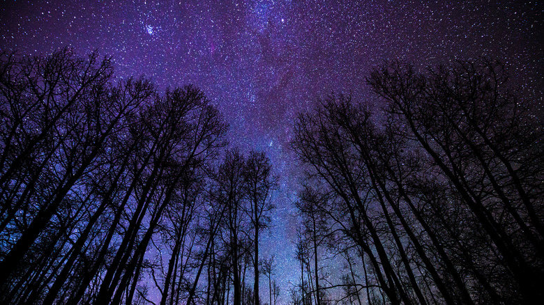 Night sky in Colorado