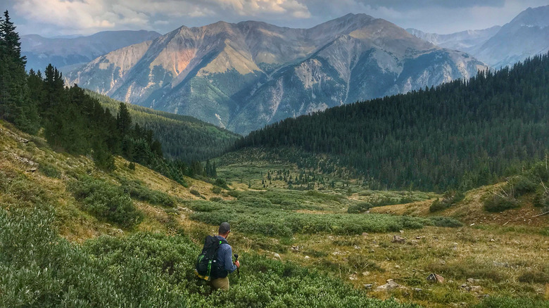 Male hiker in valley while on route to Mount Elbert in Colorado