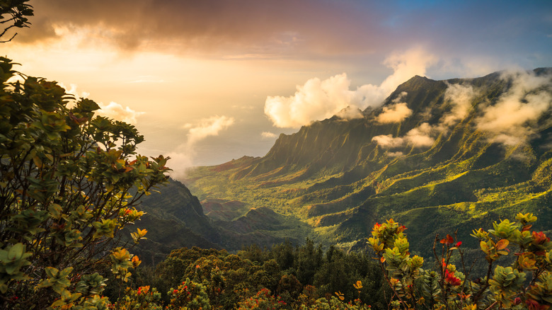 An aerial view of Kalalau Valley