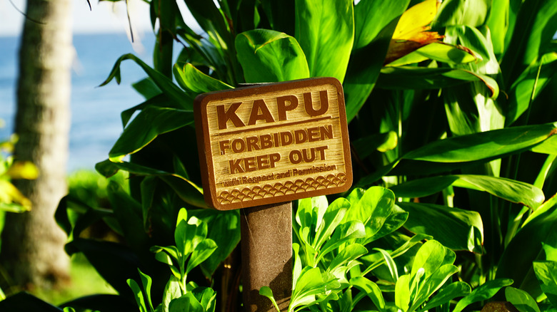 Sign reading 'kapu' by tropical plants