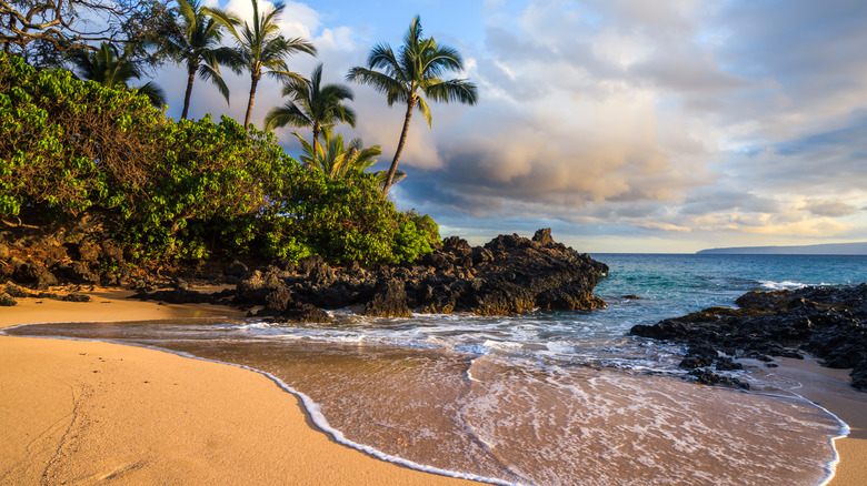 Maui's Secret Beach and vegetation