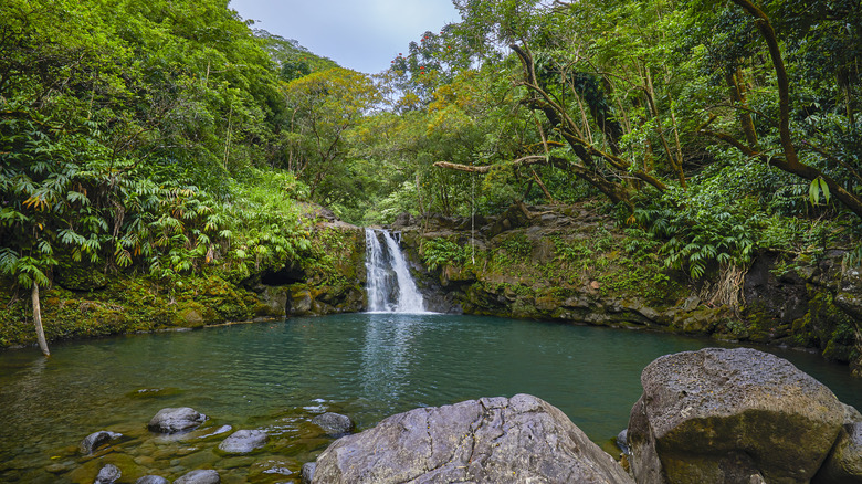 Waterfall and greenery in Hawaii