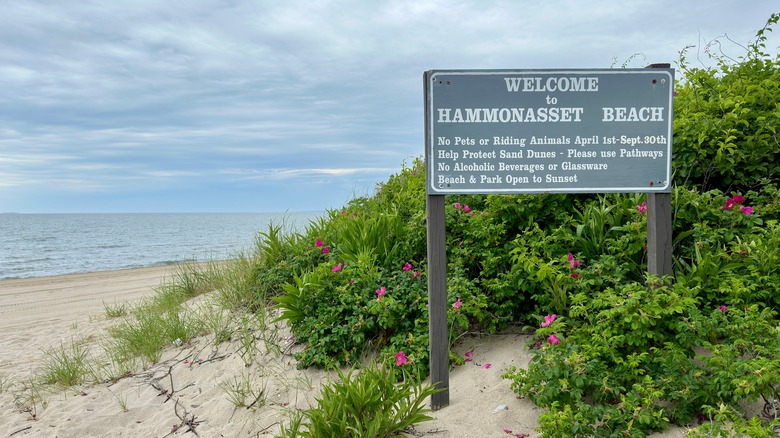 View of Hammonasset Beach sign with beach in background