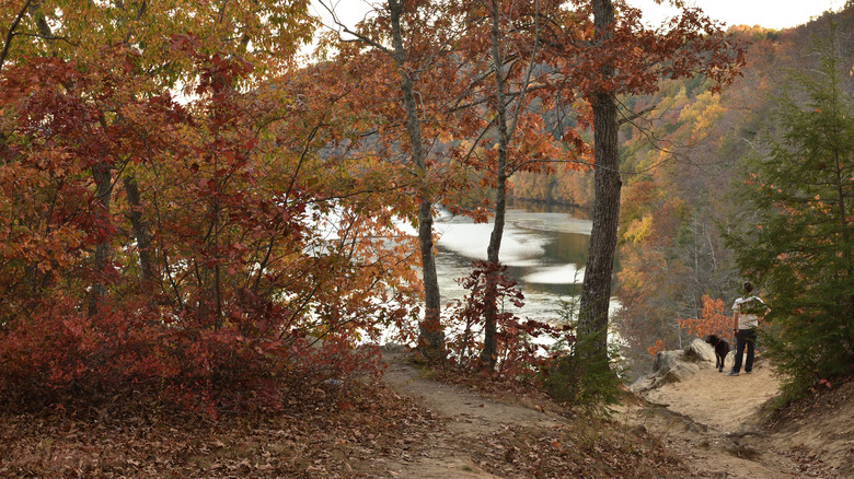 fall foliage at Lovers Leap