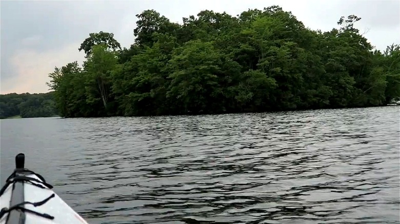 The forested scenery of Minnie Island from a kayak