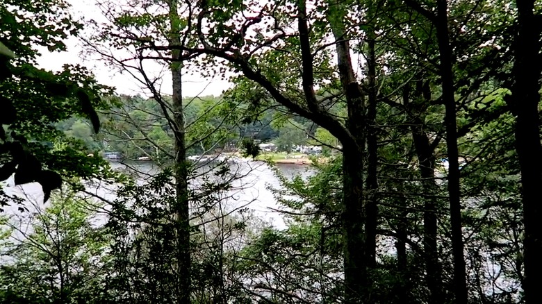 View of Gardner Lake from Minnie Island through the forest