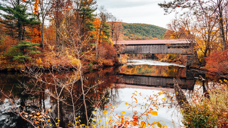 Covered bridge fall lake