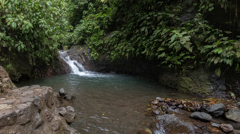 Raimaker Conservation Park Costa Rica waterfall pool jungle