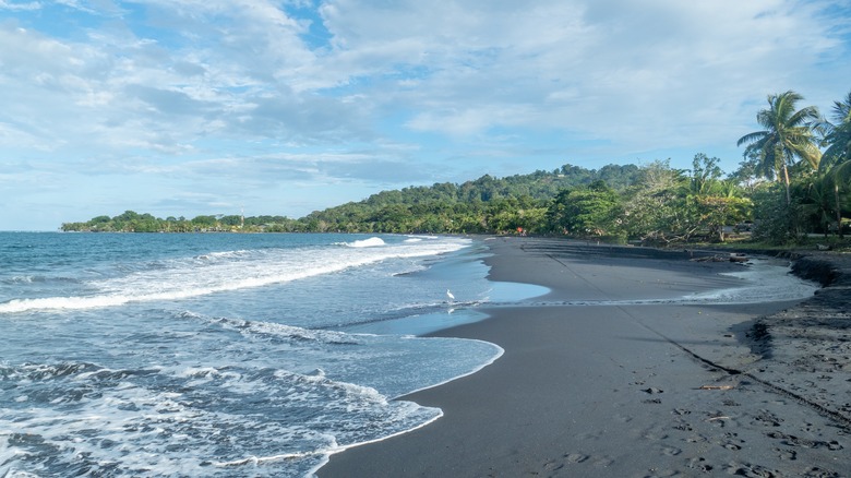 Black beach with jungle background