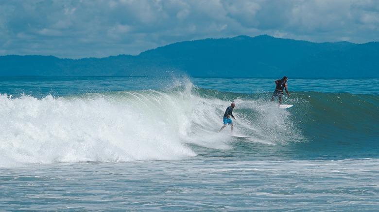 People surfing in pavones costa rica