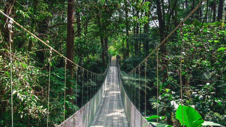 Hanging bridge in Arenal Volcano National Park.