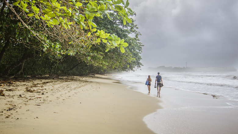 Explore beachfront national parks from Puerto Viejo, Costa Rica