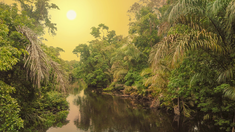 Sunset in Tortuguero National Park in eastern Costa Rica