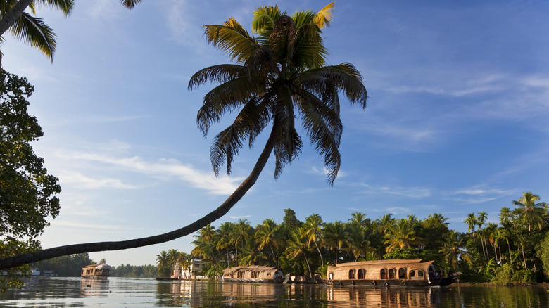 Houseboat in Kerala backwaters