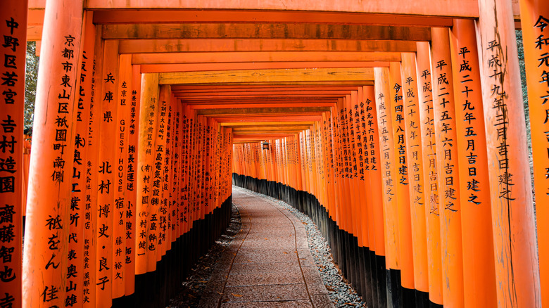 Gates at Fushimi Inari Taisha