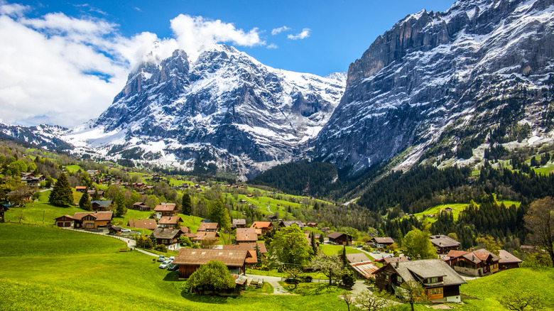 Grindelwald village and Alps