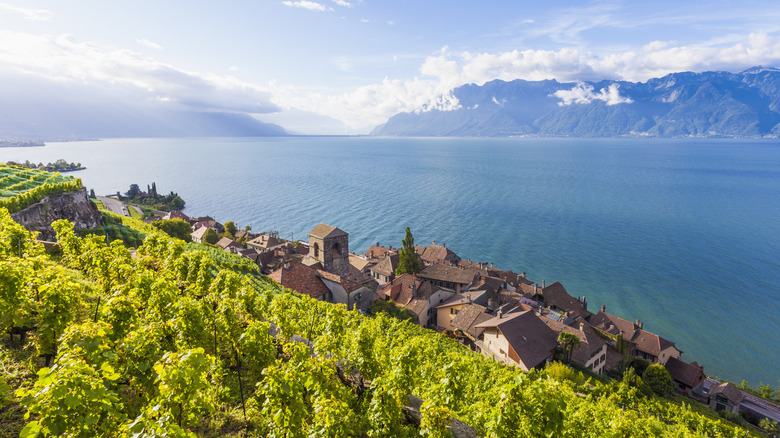 Lavaux vineyards and Lake Geneva