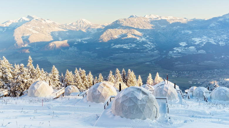 Pods overlooking valley in snow