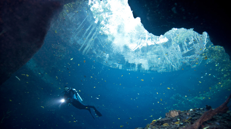 Diver swimming in cenote in Mexico