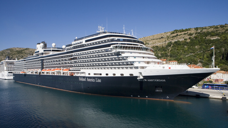 Cruise ship in a harbor