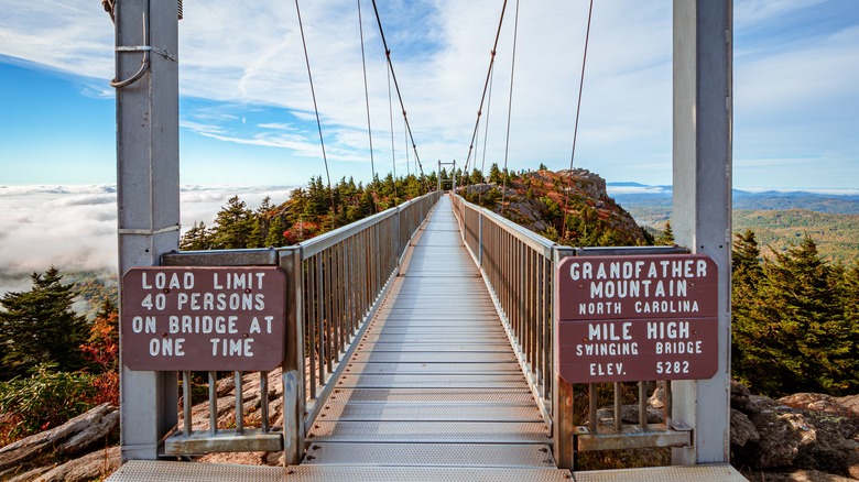 Foot of the Mile High Swinging Bridge