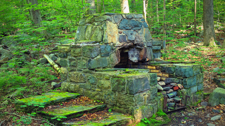 Ruined fireplace in a forest surrounded by trees