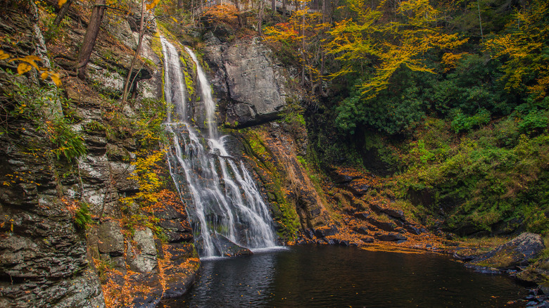 Waterfall cascading into a lake surrounded by trees in fall colors